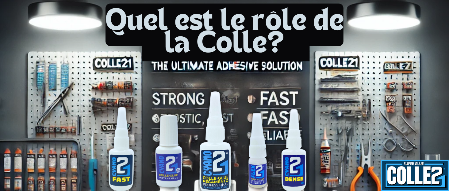 Quel est le rôle de la colle ?