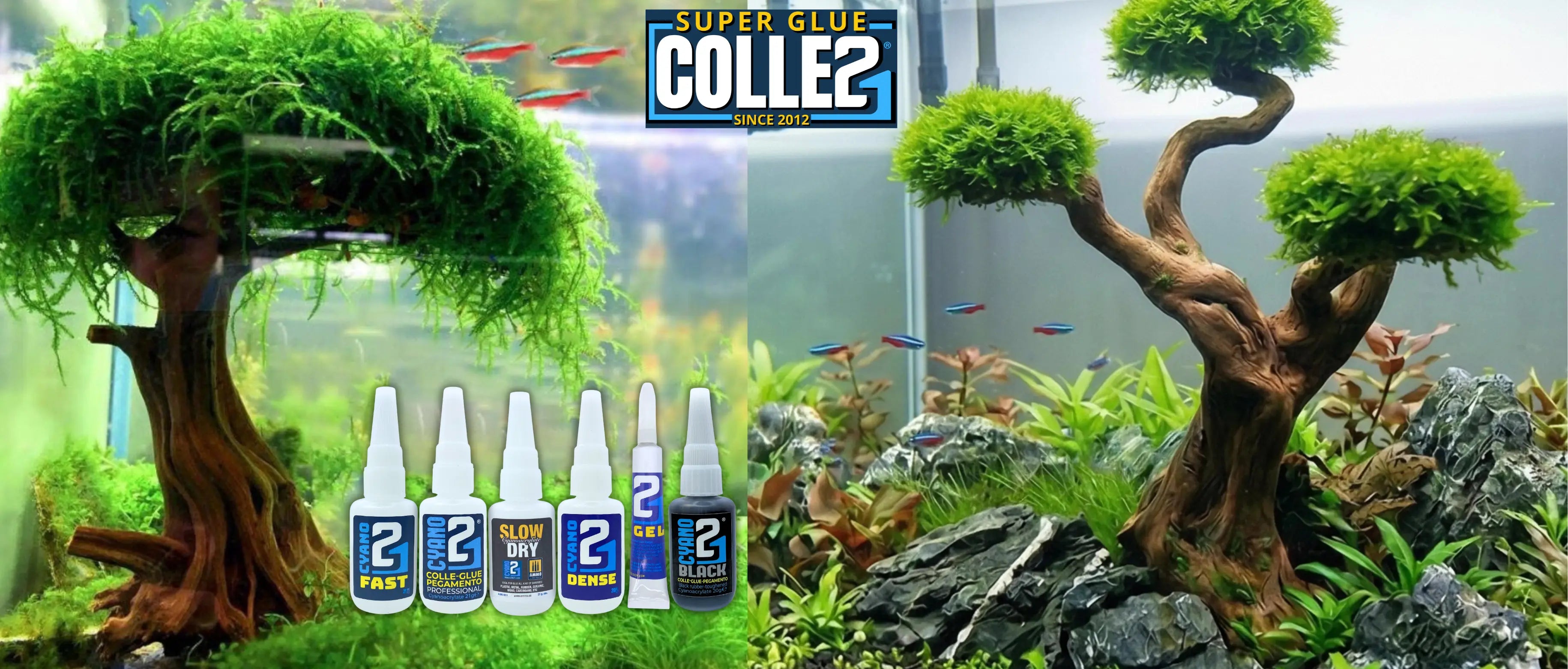 Quelle colle choisir pour les plantes d'aquarium ?