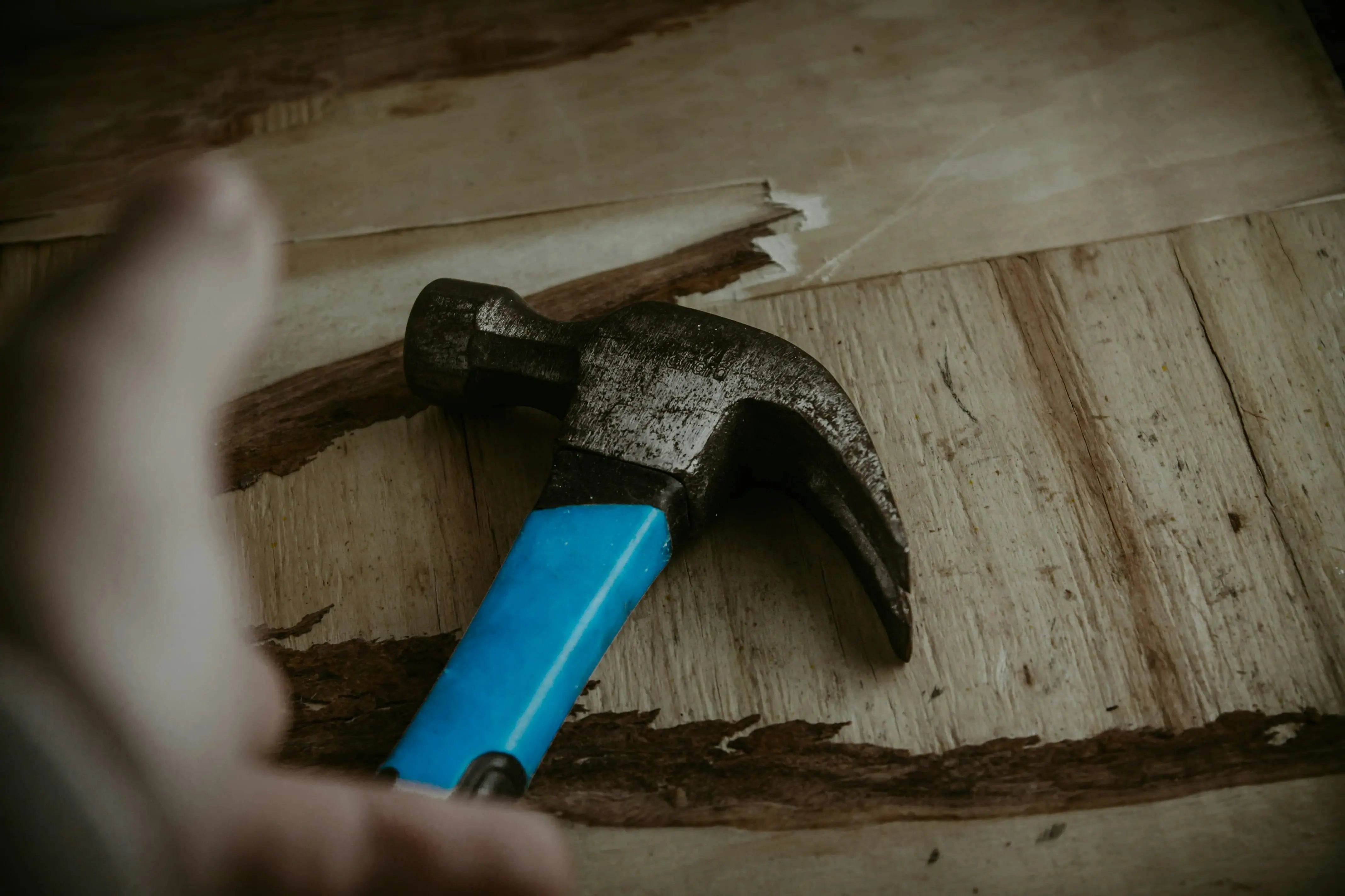 colle à bois