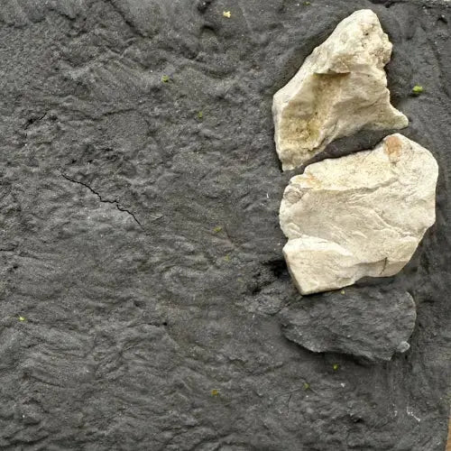 Terre Decorative Linea Leonardo – Cenere di Legno By Super Glue Colle21