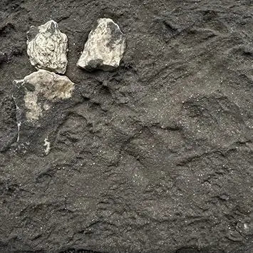 LINEA LEONARDO By Super Glue Colle21