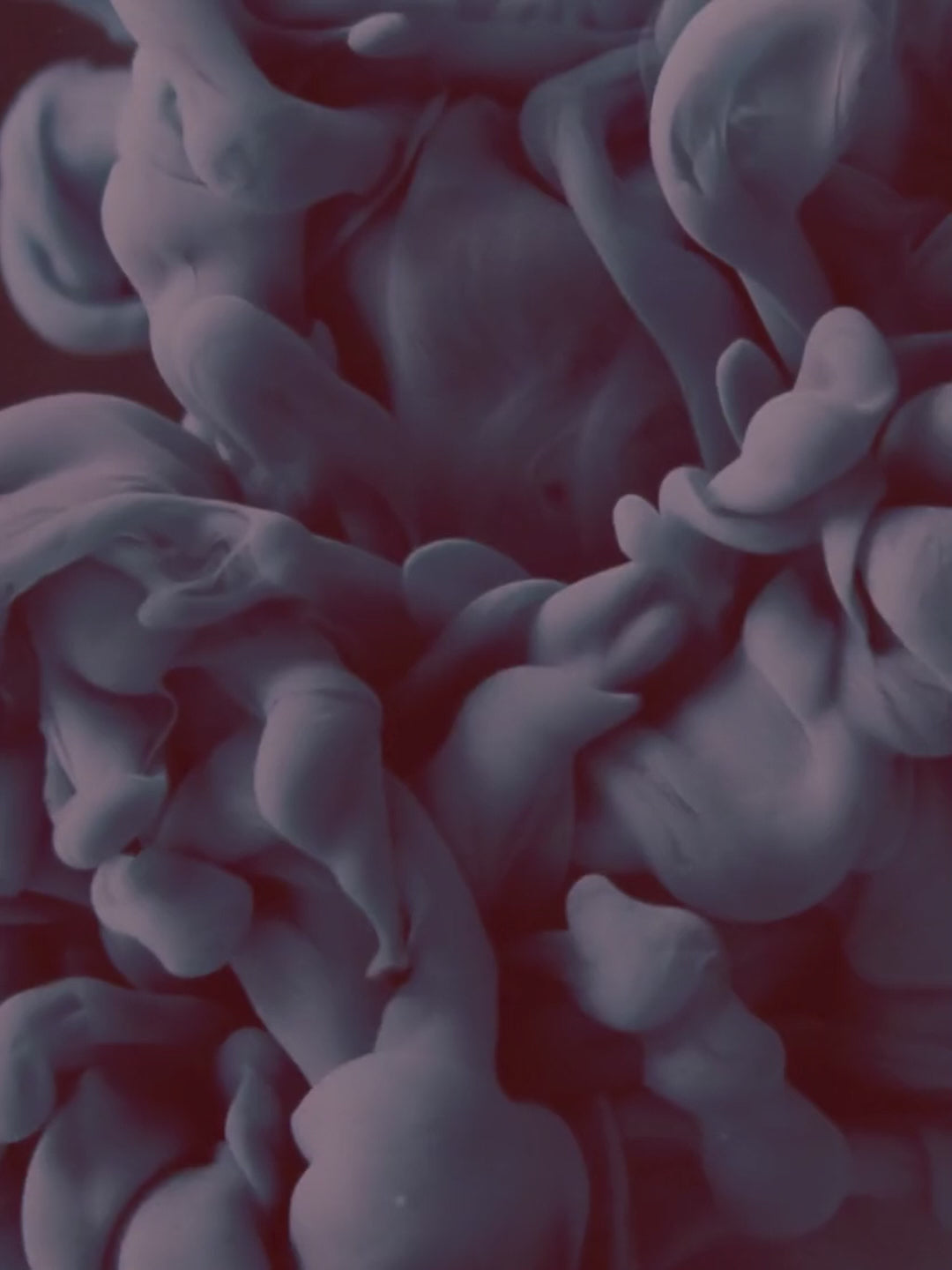 Primer spray superglue colle21