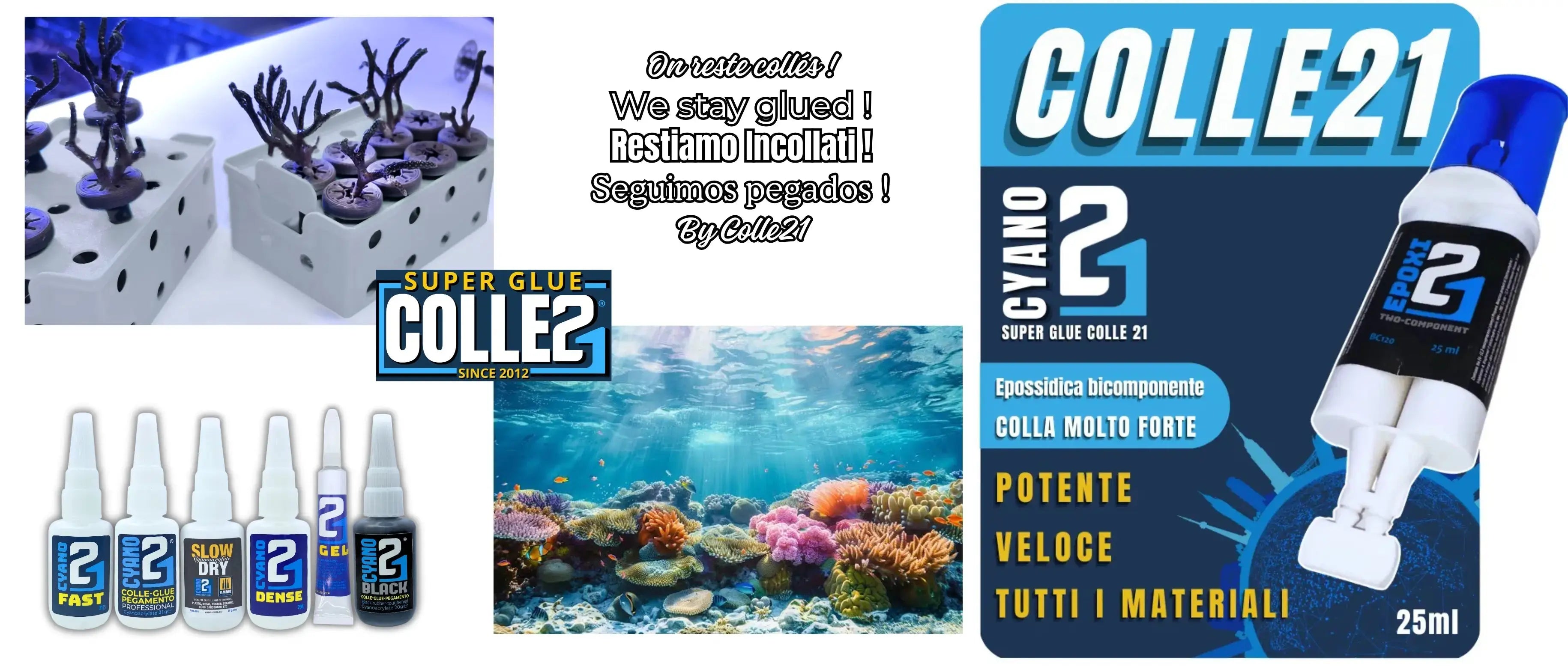 Quelle colle choisir pour les coraux ?